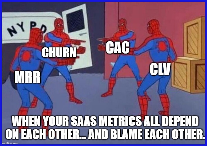The Interconnected Metric Web