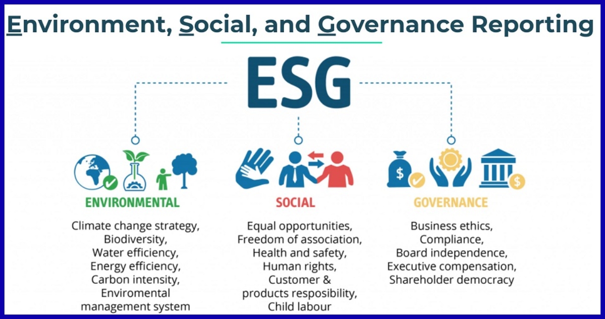 sustainability reporting ecosystem