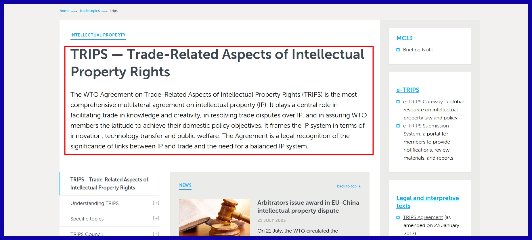 Intellectual Property Rights